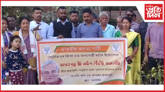 new ap web 11-11-24 new 2