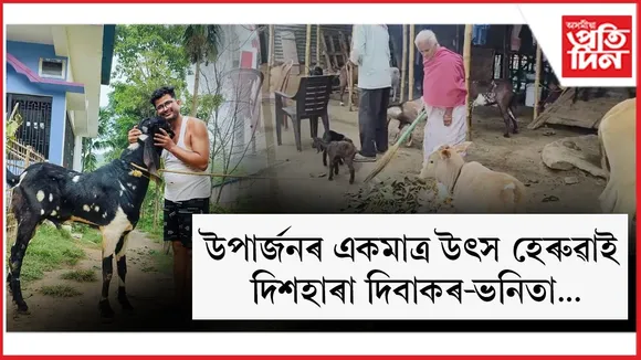 WhatsApp Image 2025-12-26 at 2.39.29 PM