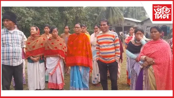 new ap web 11-11-24 new 2