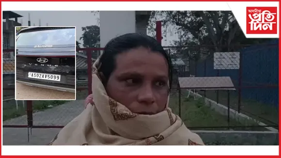 new ap web 11-11-24 new 2