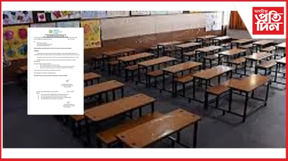 new ap web 11-11-24 new 2