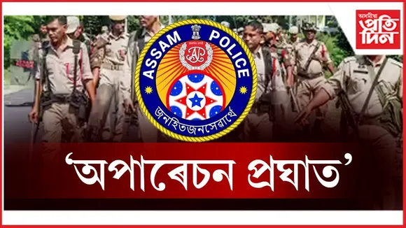 WhatsApp Image 2025-12-30 at 2.46.52 PM