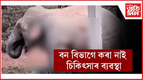 WhatsApp Image 2025-12-31 at 1.03.55 PM