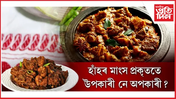 হাঁহৰ মাংস