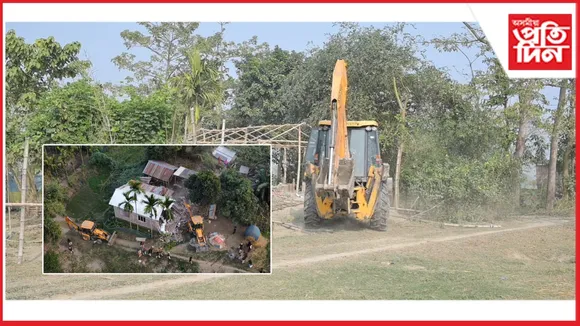 new ap web 11-11-24 new 2