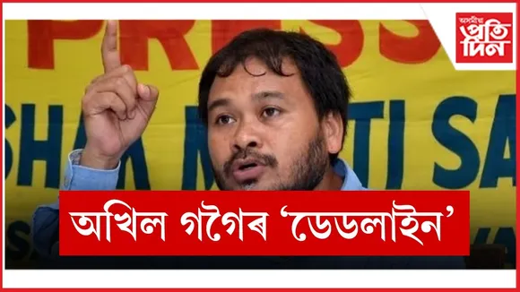 WhatsApp Image 2026-01-08 at 7.15.00 PM