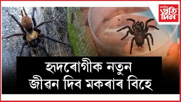 WhatsApp Image 2026-01-09 at 12.55.44 PM