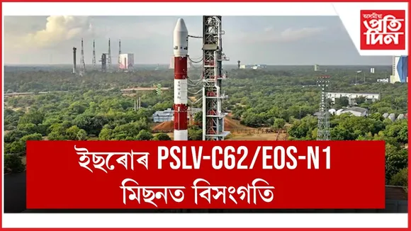 WhatsApp Image 2026-01-12 at 11.57.38 AM