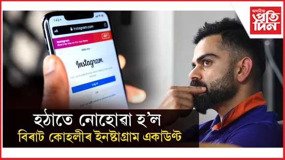 new ap web 1.jpg (5)