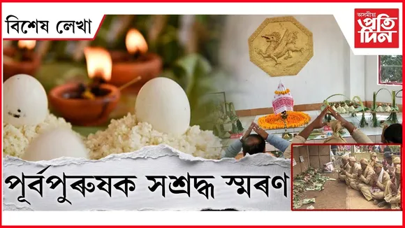 WhatsApp Image 2026-01-31 at 9.11.45 PM