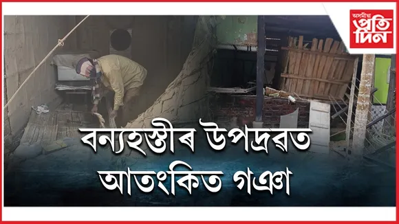 WhatsApp Image 2026-02-03 at 7.49.41 PM