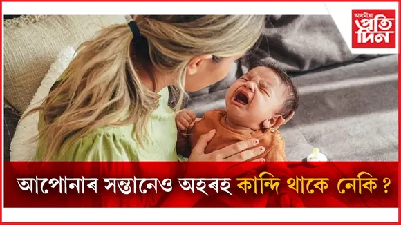 WhatsApp Image 2026-02-04 at 5.13.10 PM