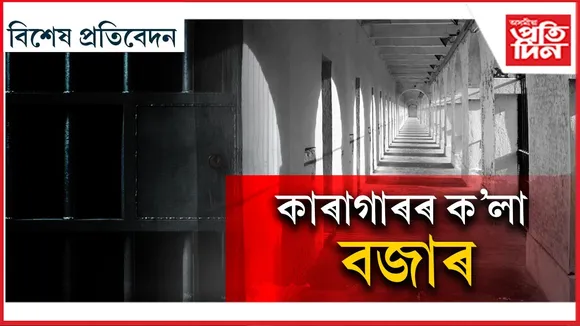 WhatsApp Image 2026-02-05 at 12.50.03 PM