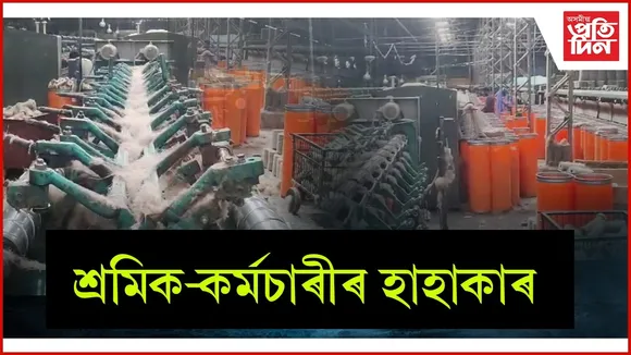 WhatsApp Image 2026-02-13 at 7.51.14 PM