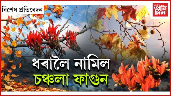 WhatsApp Image 2026-02-14 at 4.13.50 PM