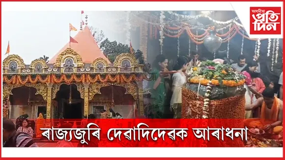 WhatsApp Image 2026-02-15 at 2.34.49 PM