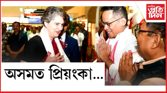 new ap web 4.jpg (3)