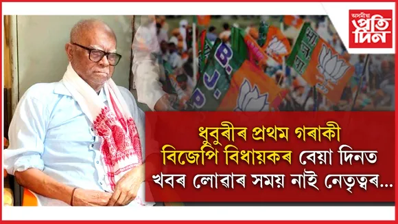 new ap web 4.jpg (4)