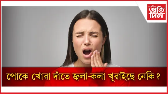 WhatsApp Image 2026-02-24 at 1.40.43 PM