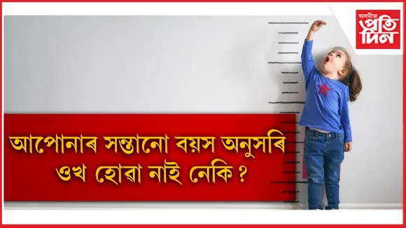 WhatsApp Image 2026-02-25 at 3.37.11 PM