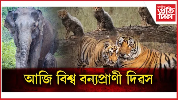 WhatsApp Image 2026-03-03 at 12.59.17 PM