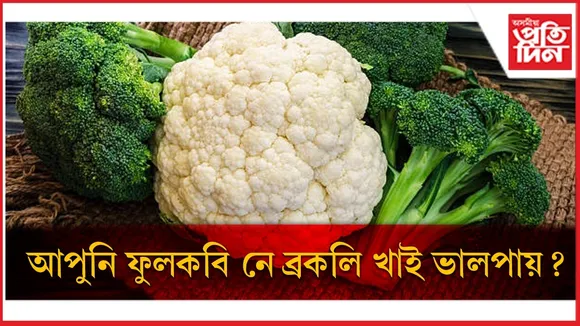 WhatsApp Image 2026-03-05 at 1.11.10 PM