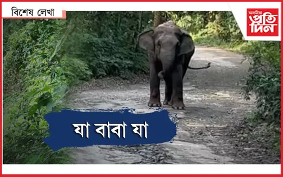 কথা শুনা এটা বনৰীয়া হাতী...