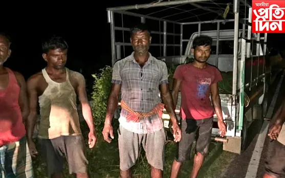 বলাহী চামপৰা মীন মহলত আৰক্ষীৰ অভিযানত জাল জব্দ... 