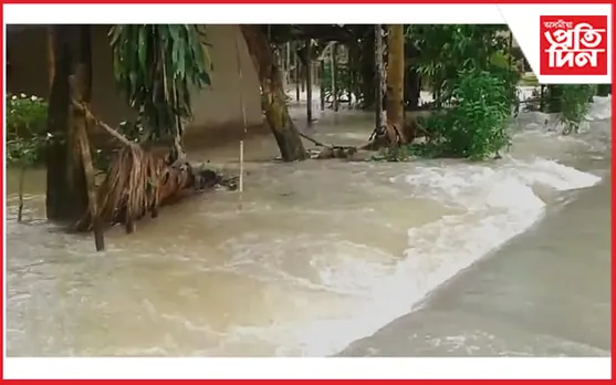 জোনাইত আহিন মহীয়া বানৰ তাণ্ডৱ...