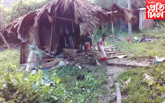 নামৰূপত পুনৰ তিনিটাকৈ ঘৰ ভাঙিলে বনৰীয়া হাতীয়ে...
