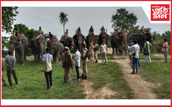 মুকলি হ'ল পবিতৰা অভয়াৰণ্য...