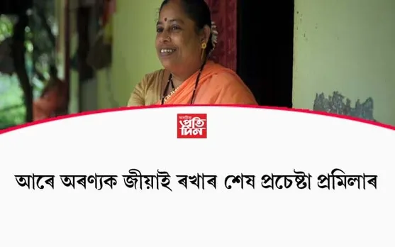 মেট্ৰ' প্ৰকল্পই নি:শেষ কৰি অনা আৰে অৰণ্যক জীয়াই ৰখাৰ শেষ প্ৰচেষ্টা প্ৰমিলাৰ…