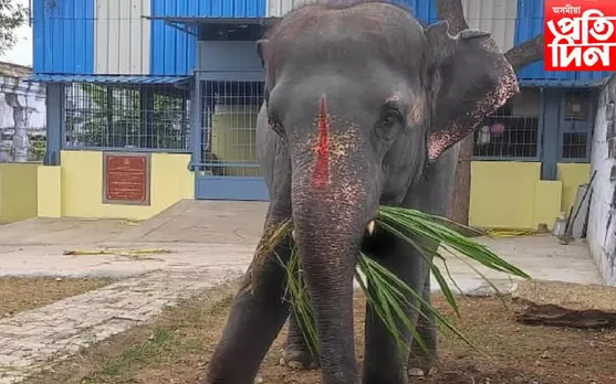 কেনে আছে জয়মালা ? পেটা ইণ্ডিয়াই প্ৰকাশ কৰিছে এক বিস্ফোৰক তথ্য...