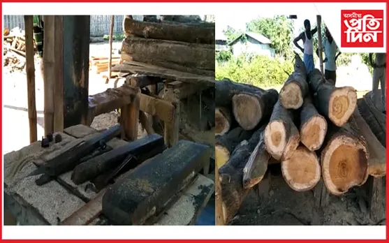 মানকাচৰৰ পুঠিমাৰীত বন বিভাগৰ অভিযান, তিনিটা অবৈধ কাঠফলা মিল উচ্ছেদ... 