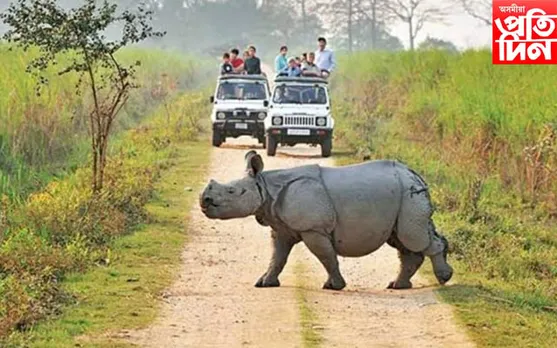৩১ মে' পৰ্যন্ত বৃদ্ধি কৰা হৈছে কাজিৰঙা ৰাষ্ট্ৰীয় উদ্যানৰ জীপ ছাফাৰী
