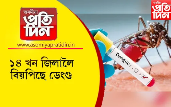 ডিফুত ডেংগুৰ কাল ৰূপঃ এই পৰ্যন্ত ৪৮৫ গৰাকী আক্ৰান্ত...