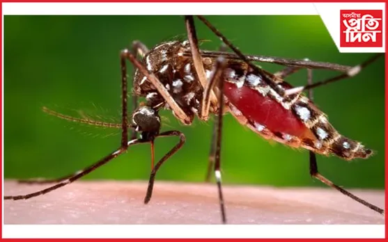ডিফুত বৃদ্ধি পাইছে ডেংগুত আক্ৰান্তৰ সংখ্যা, ডিফু মেডিকেল কলেজত ভৰ্তি ৩৮ গৰাকী ৰোগী...  