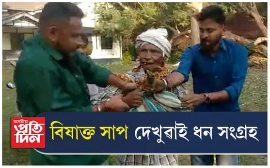 এটা বিষাক্ত সাপৰ মোনাক লৈ টনা আজোৰা...