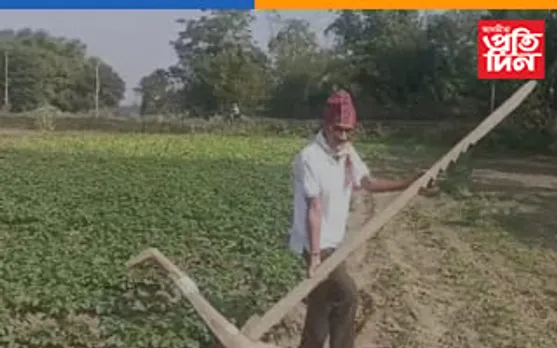 কৃষিকাৰ্যৰে স্বাৱলম্বী হোৱাৰ নিদৰ্শন গাঁওবুঢ়াৰ