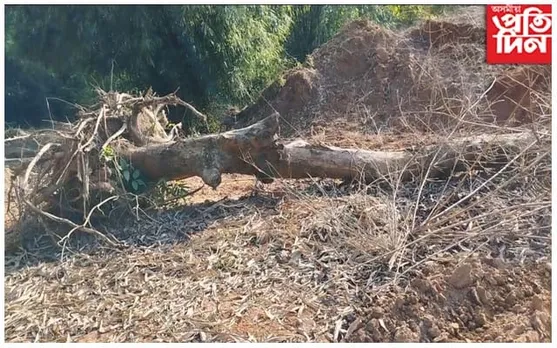 মহামায়া বনাঞ্চল ধ্বংস হ'লে লোপ পাব মহামায়া মন্দিৰৰ ঐতিহ্য: মুখ্যমন্ত্ৰীলৈ অৰণ্য সুৰক্ষা সমিতিৰ চিঠি