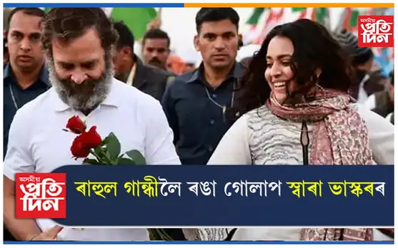 ৰাহুল গান্ধীক সতেজ ৰঙা গোলাপ দি ভাৰত জোড়ো যাত্ৰাত চামিল অভিনেত্ৰী স্বাৰা ভাস্কৰ...
