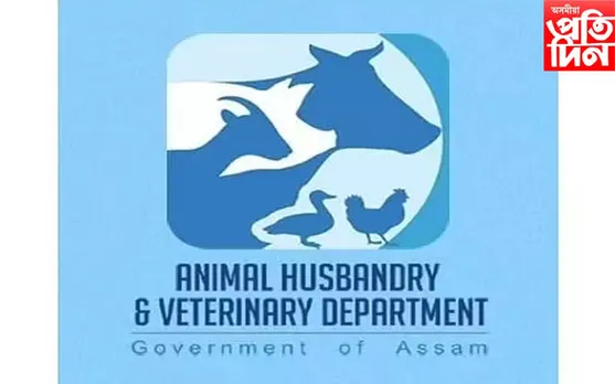 পশুপালন বিভাগত চাকৰি দিয়াৰ নামত লাখ টকা সংগ্ৰহ, প্ৰৱঞ্চকৰ আত্মগোপন...