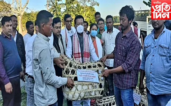  আঁচনিৰ নামত ভয়ংকৰ দুৰ্নীতি! বিধায়কে বিতৰণ কৰিলে নেকি ৰুগ্ন গাহৰি 
