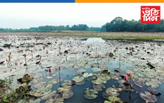 পক্ষীৰ কাকলিত মুখৰিত আগিয়াৰ শিঙিমাৰী বিল
