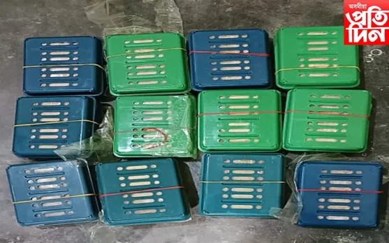ফকিৰগঞ্জত ড্ৰাগছৰ বিৰুদ্ধে আৰক্ষীৰ অভিযান, গ্ৰেপ্তাৰ এগৰাকী মহিলা...