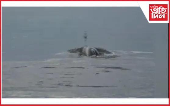 কাজিৰঙাত ডলফিনৰ লুকাভাকু...