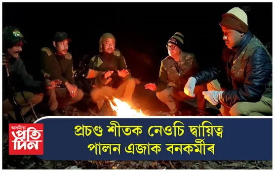 প্ৰচণ্ড শীতৰ গভীৰ নিশা একুৰা জুইক সাক্ষী কৰি কৰ্তব্য সম্পাদন কাজিৰঙাৰ বনকৰ্মীৰ