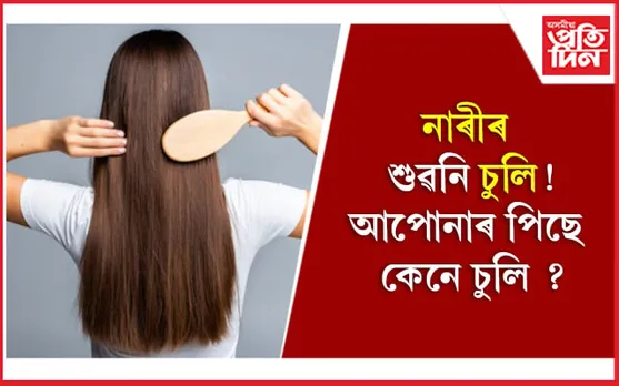Hair Growth: দীঘল চুলিৰ বাবে আপুনি দৈনিক খোৱা উচিত এই ৫ টা খাদ্য 