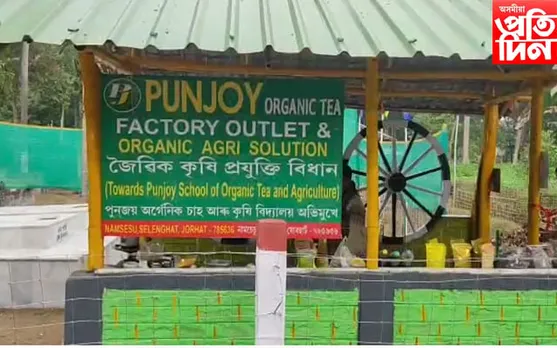 মৰিয়নিৰ গ্ৰামাঞ্চলত চাহ পৰ্যটনস্থলী গঢ়ি তোলাৰ প্ৰয়াস; আনিছে আশাৰ ৰেঙণি     