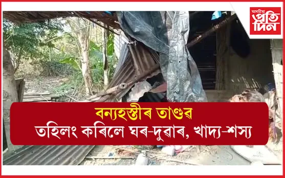 চিৰাঙৰ ভাৰত-ভূটান সীমান্তৰ বিষ্ণুপুৰত বন্যহস্তীৰ তাণ্ডৱ...